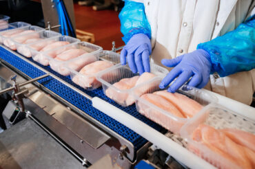 Optimizing Food Production with High-Performance Lightweight Conveyor Belts