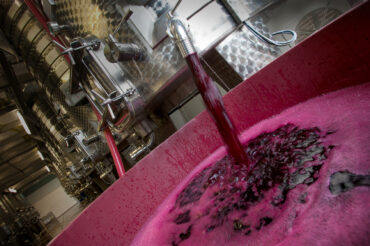 Selecting the Right Wine Hose for Your Application