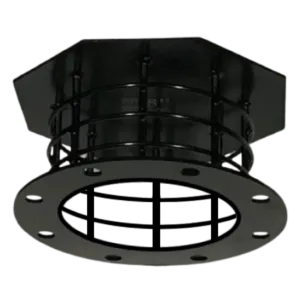Foot Valves & Strainers - Flanged Strainer