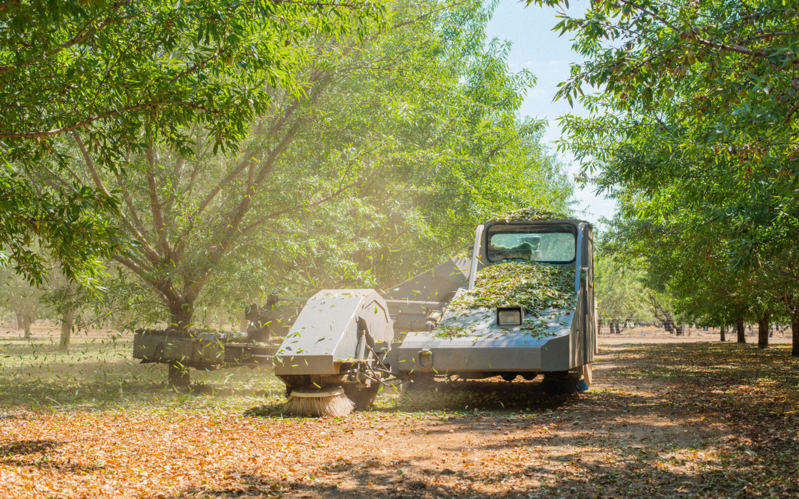 Capital Rubber: The Best Choice for Nut Harvesting Equipment Components