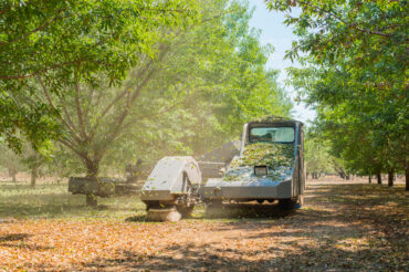 Capital Rubber: The Best Choice for Nut Harvesting Equipment Components