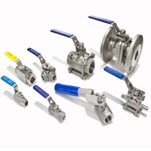Stainless Steel Industrial Valves