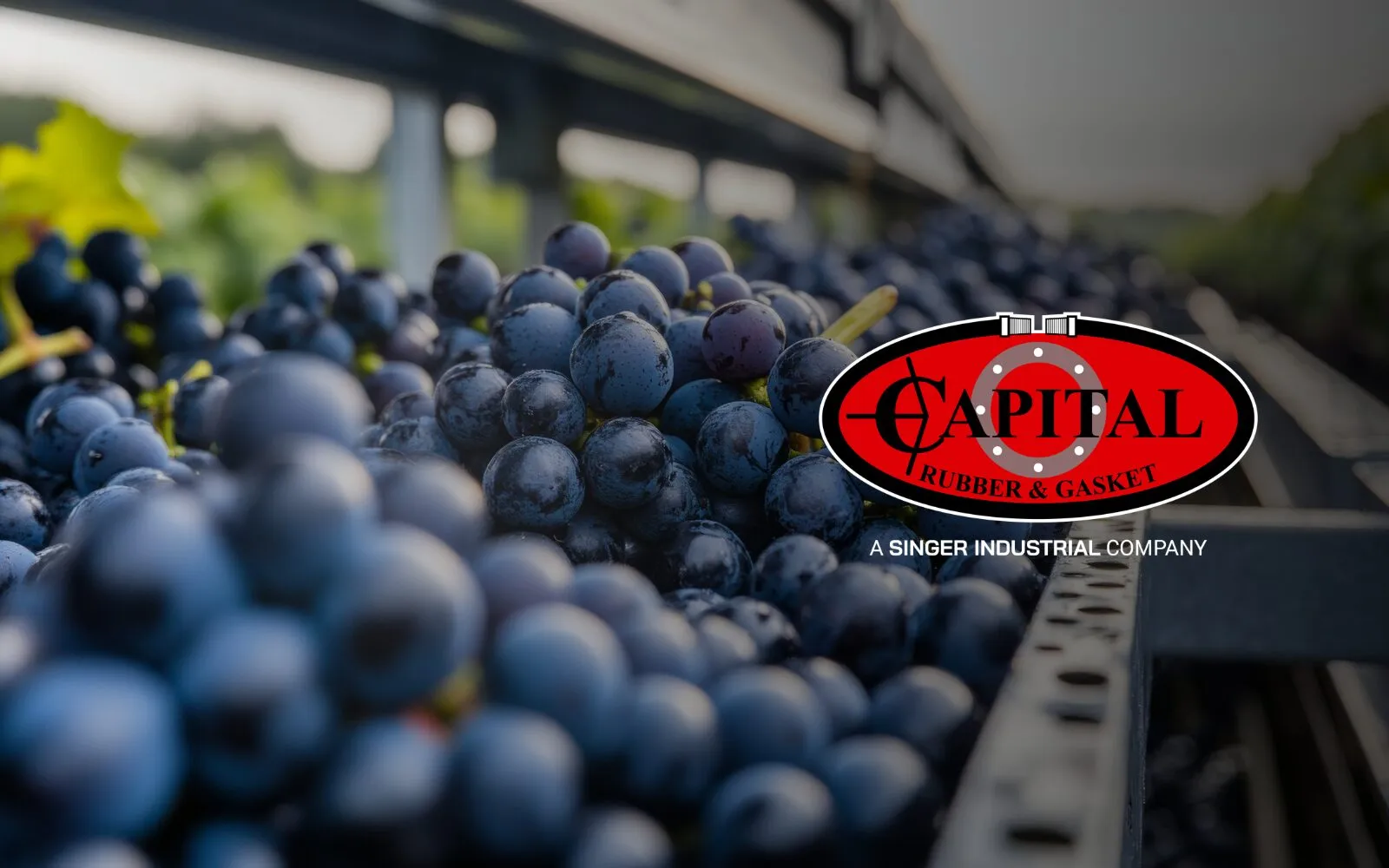 Lightweight Conveyor Belting for Harvesting & Food Processing Applications
