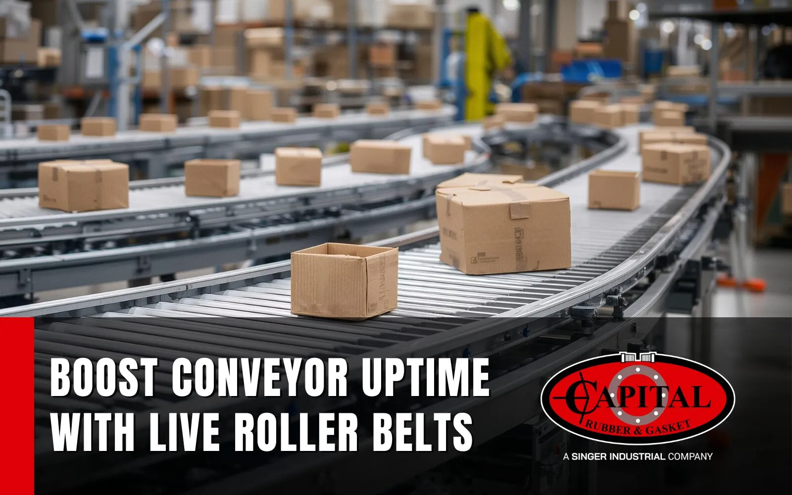 Optimize Your Distribution Line with Beltservice Live Roller Belts from Capital Rubber